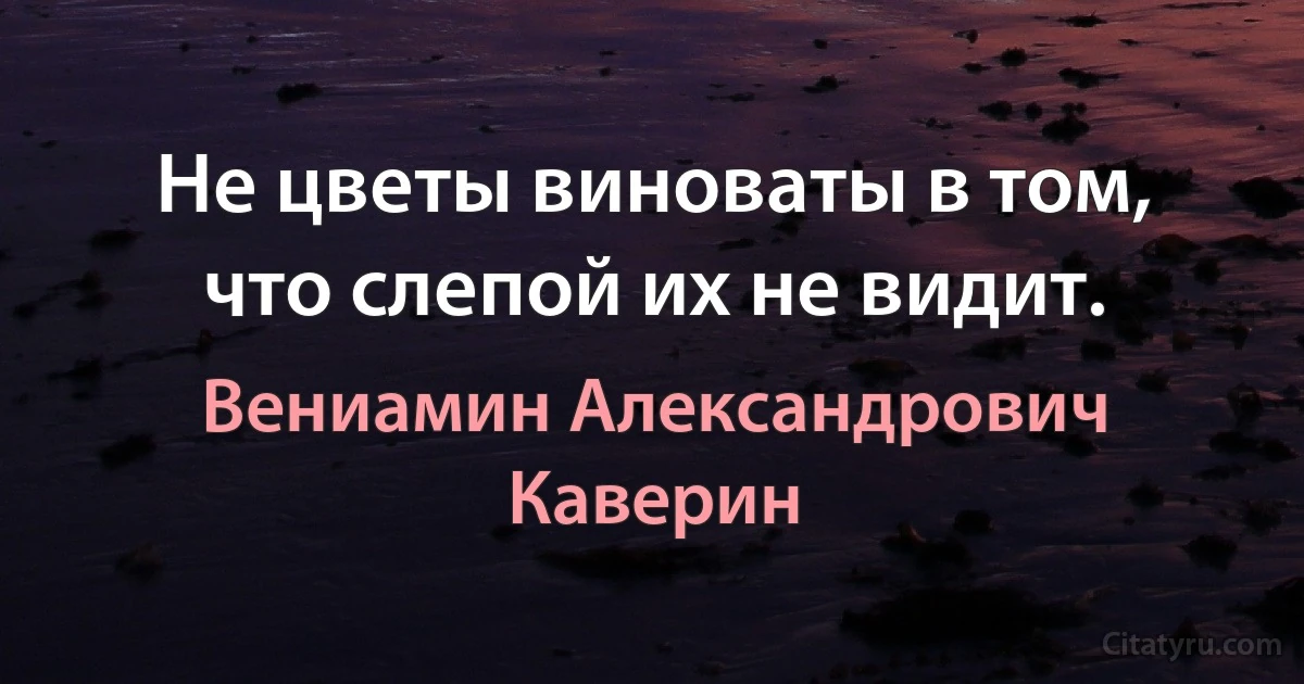 Не цветы виноваты в том, что слепой их не видит. (Вениамин Александрович Каверин)