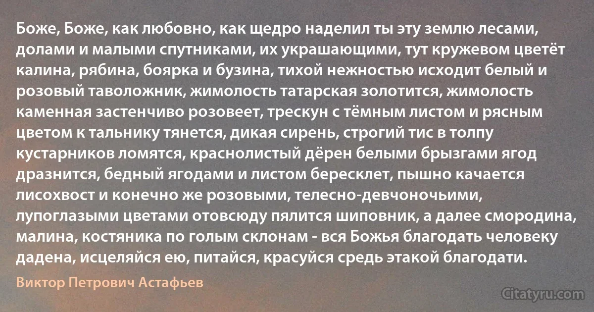 Боже, Боже, как любовно, как щедро наделил ты эту землю лесами, долами и малыми спутниками, их украшающими, тут кружевом цветёт калина, рябина, боярка и бузина, тихой нежностью исходит белый и розовый таволожник, жимолость татарская золотится, жимолость каменная застенчиво розовеет, трескун с тёмным листом и рясным цветом к тальнику тянется, дикая сирень, строгий тис в толпу кустарников ломятся, краснолистый дёрен белыми брызгами ягод дразнится, бедный ягодами и листом бересклет, пышно качается лисохвост и конечно же розовыми, телесно-девчоночьими, лупоглазыми цветами отовсюду пялится шиповник, а далее смородина, малина, костяника по голым склонам - вся Божья благодать человеку дадена, исцеляйся ею, питайся, красуйся средь этакой благодати. (Виктор Петрович Астафьев)