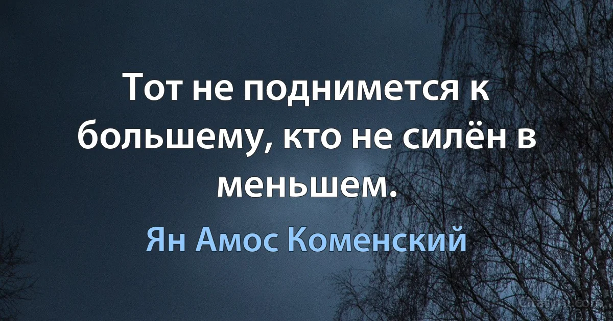 Тот не поднимется к большему, кто не силён в меньшем. (Ян Амос Коменский)