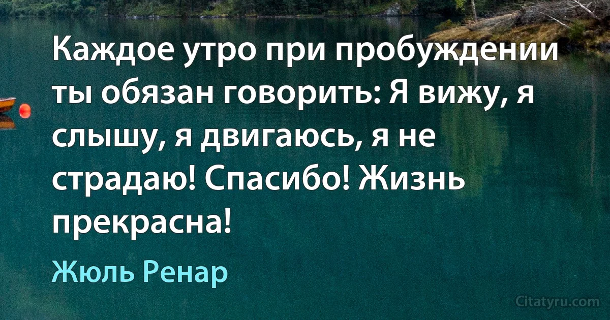 Каждое утро при пробуждении ты обязан говорить: Я вижу, я слышу, я двигаюсь, я не страдаю! Спасибо! Жизнь прекрасна! (Жюль Ренар)