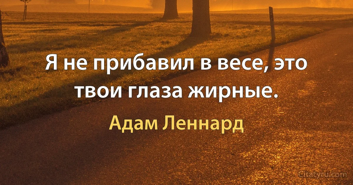 Я не прибавил в весе, это твои глаза жирные. (Адам Леннард)