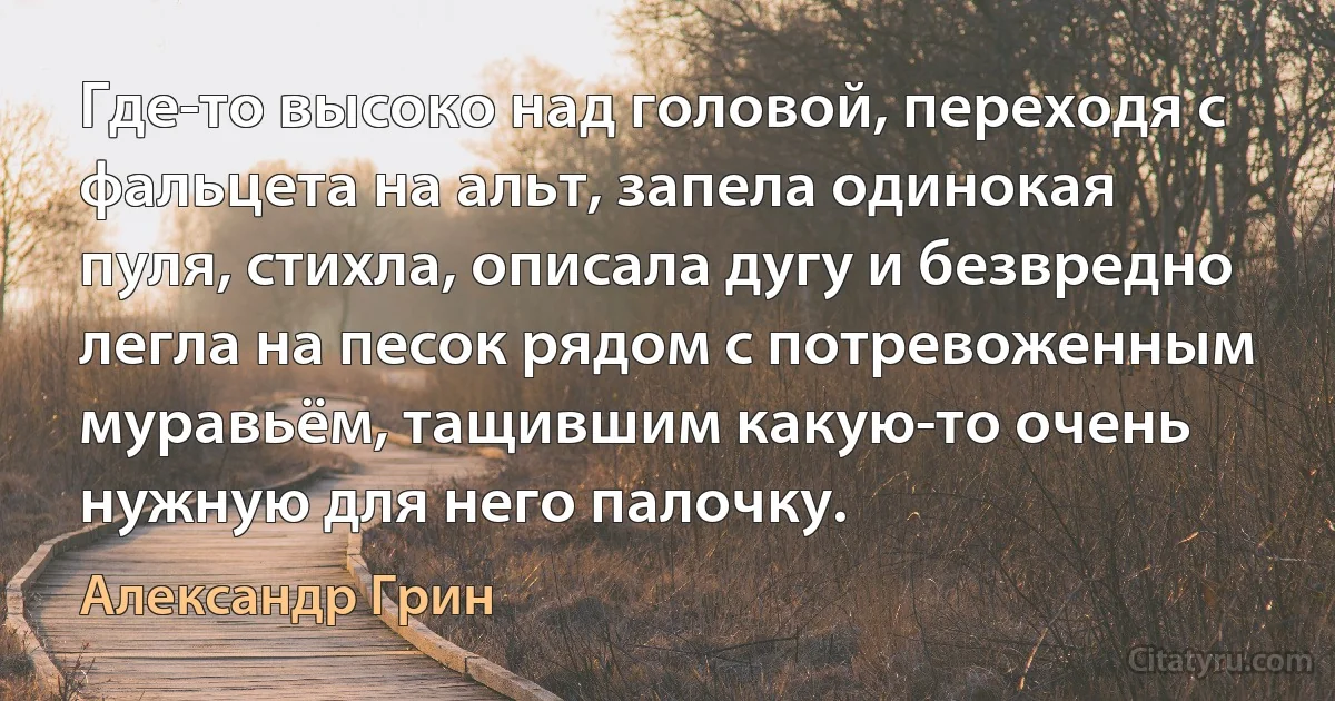 Где-то высоко над головой, переходя с фальцета на альт, запела одинокая пуля, стихла, описала дугу и безвредно легла на песок рядом с потревоженным муравьём, тащившим какую-то очень нужную для него палочку. (Александр Грин)