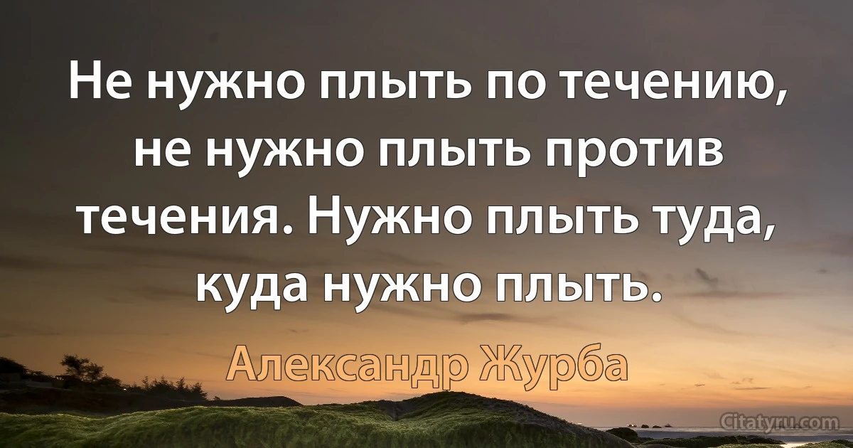 Не нужно плыть по течению, не нужно плыть против течения. Нужно плыть туда, куда нужно плыть. (Александр Журба)