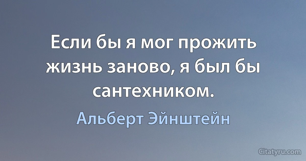 Если бы я мог прожить жизнь заново, я был бы сантехником. (Альберт Эйнштейн)