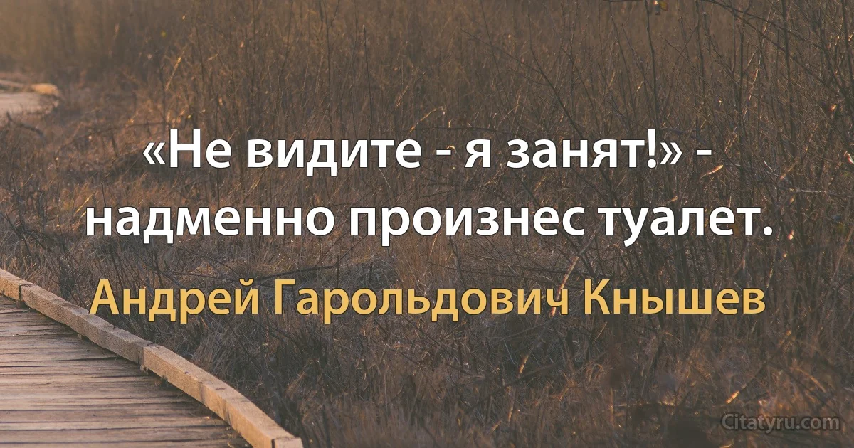 «Не видите - я занят!» - надменно произнес туалет. (Андрей Гарольдович Кнышев)