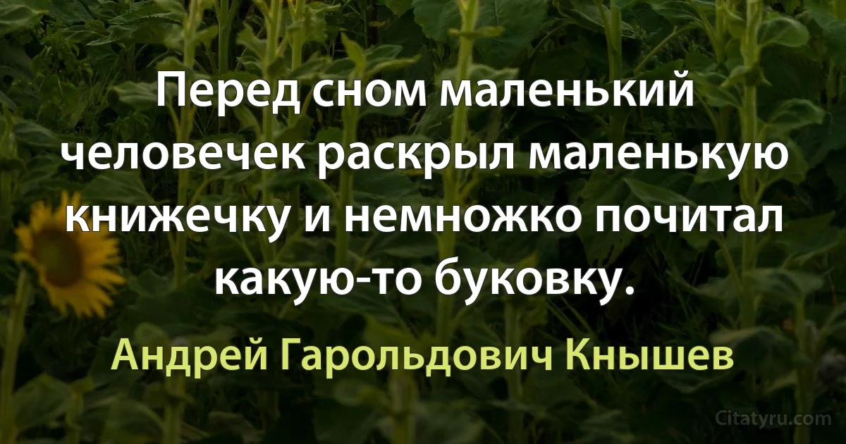 Перед сном маленький человечек раскрыл маленькую книжечку и немножко почитал какую-то буковку. (Андрей Гарольдович Кнышев)