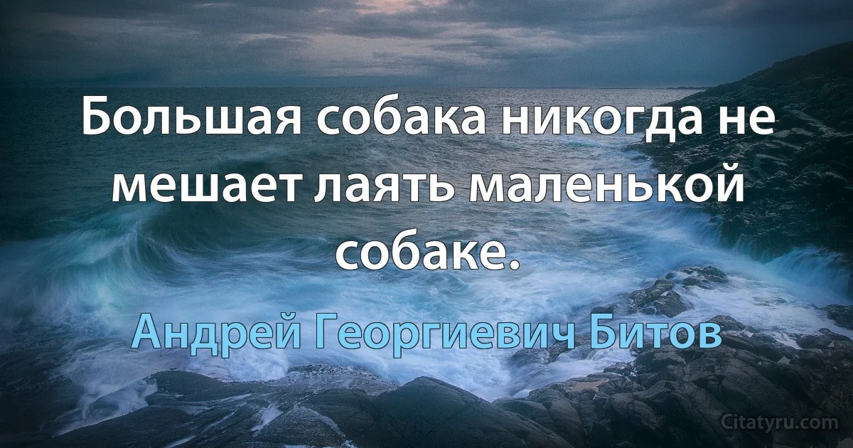 Большая собака никогда не мешает лаять маленькой собаке. (Андрей Георгиевич Битов)