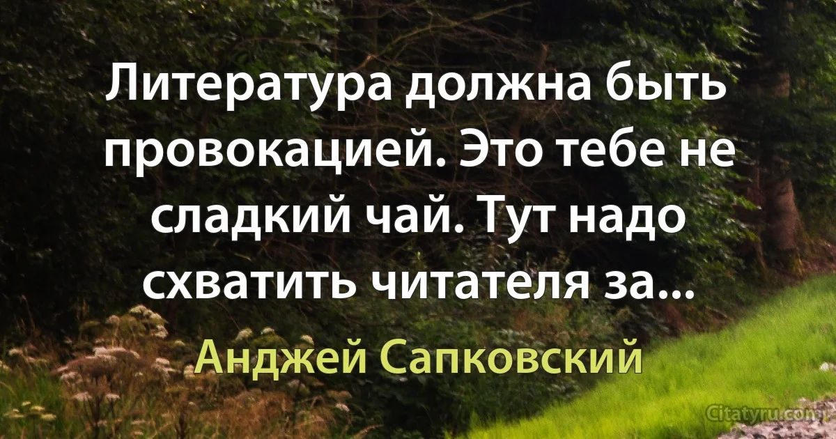 Литература должна быть провокацией. Это тебе не сладкий чай. Тут надо схватить читателя за... (Анджей Сапковский)