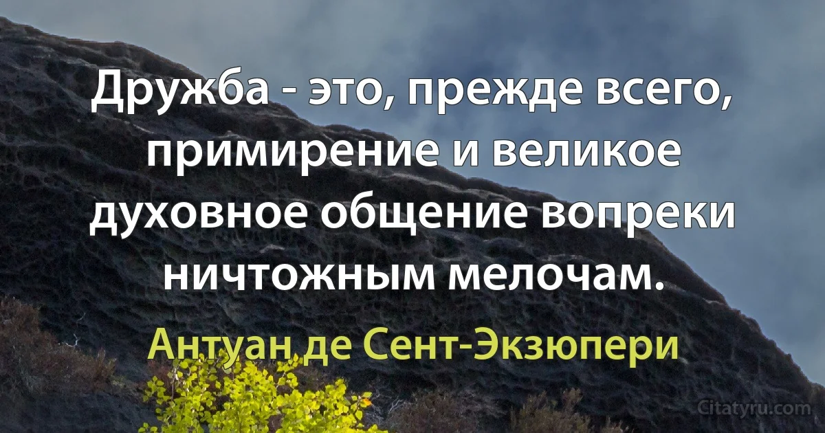 Дружба - это, прежде всего, примирение и великое духовное общение вопреки ничтожным мелочам. (Антуан де Сент-Экзюпери)