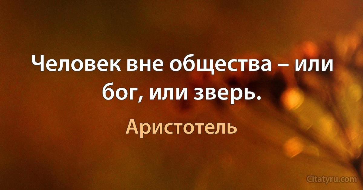 Человек вне общества – или бог, или зверь. (Аристотель)