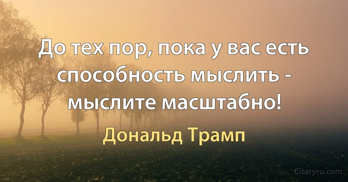 До тех пор, пока у вас есть способность мыслить - мыслите масштабно! (Дональд Трамп)