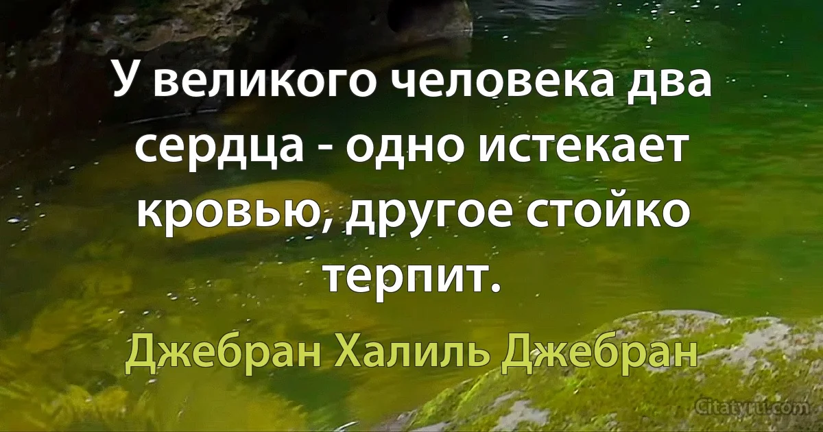 У великого человека два сердца - одно истекает кровью, другое стойко терпит. (Джебран Халиль Джебран)