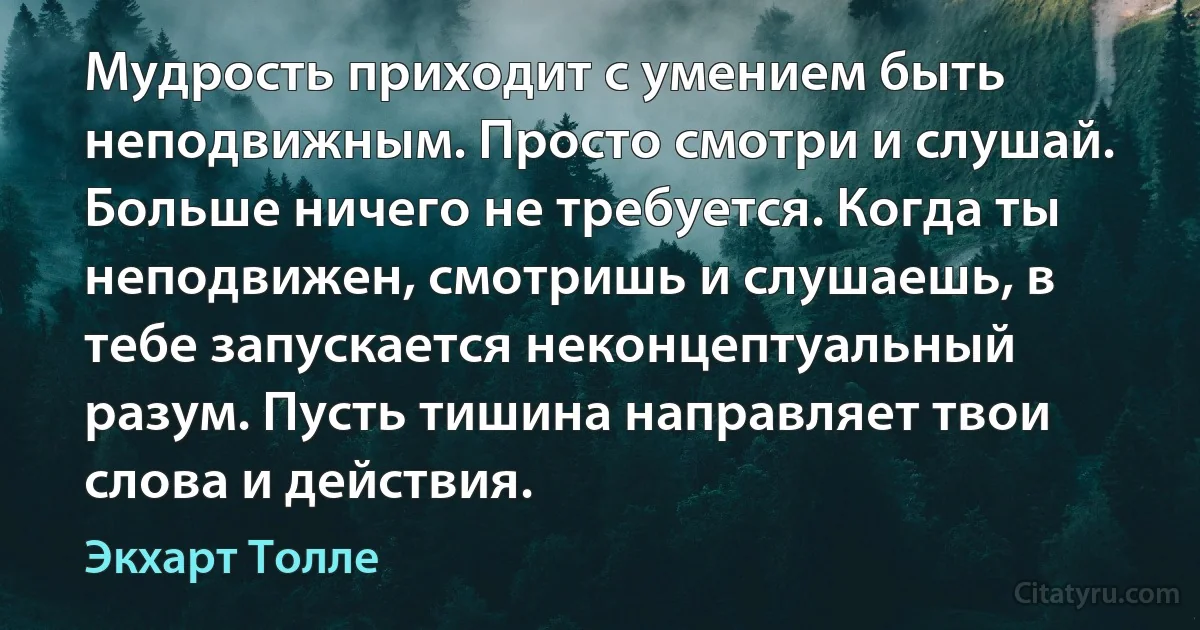 Мудрость приходит с умением быть неподвижным. Просто смотри и слушай. Больше ничего не требуется. Когда ты неподвижен, смотришь и слушаешь, в тебе запускается неконцептуальный разум. Пусть тишина направляет твои слова и действия. (Экхарт Толле)