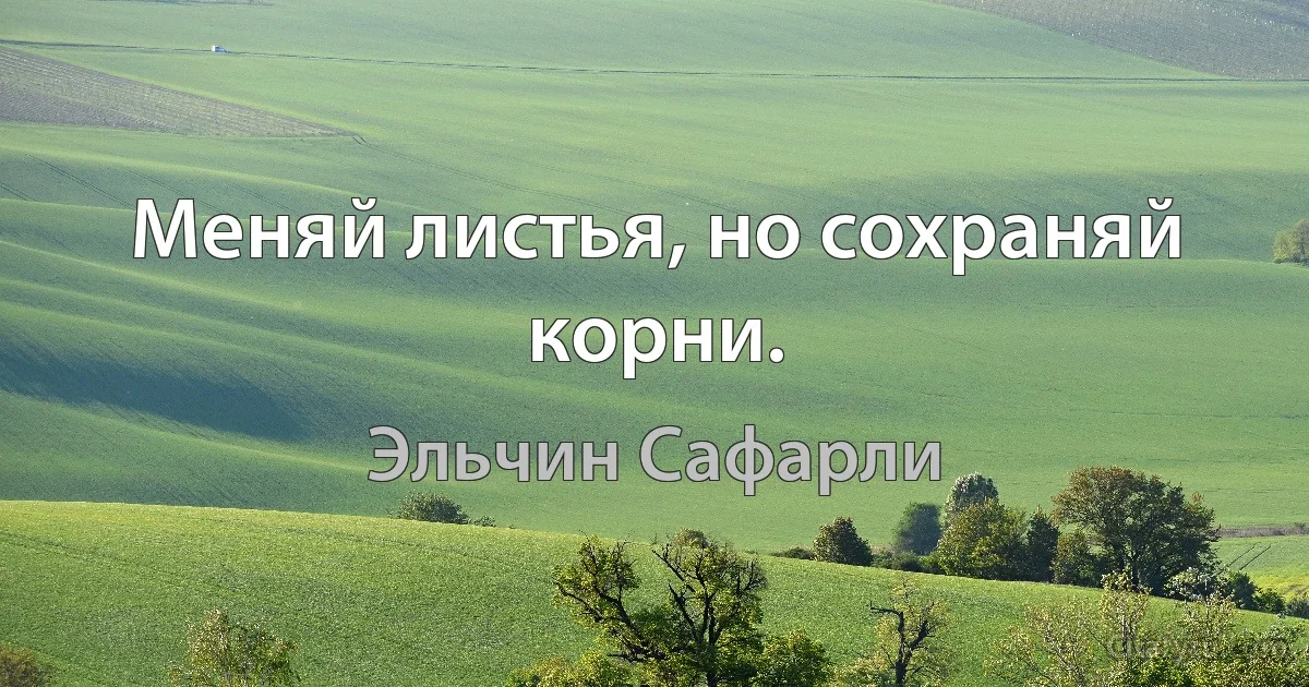 Меняй листья, но сохраняй корни. (Эльчин Сафарли)