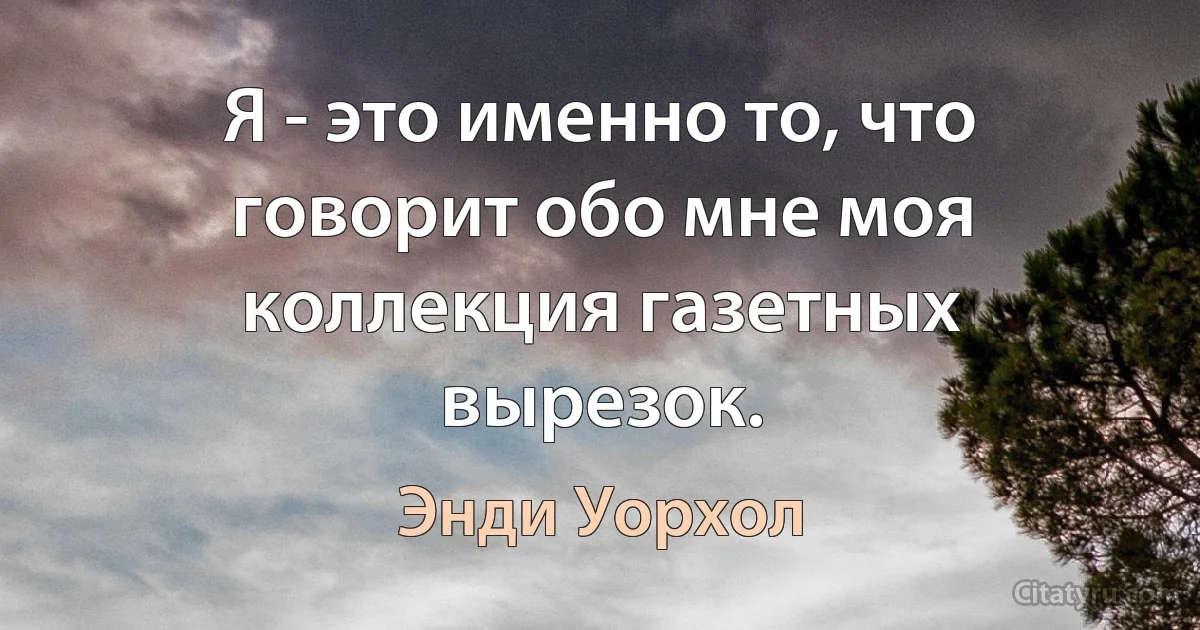 Я - это именно то, что говорит обо мне моя коллекция газетных вырезок. (Энди Уорхол)