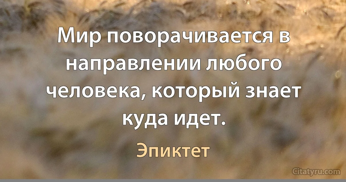 Мир поворачивается в направлении любого человека, который знает куда идет. (Эпиктет)