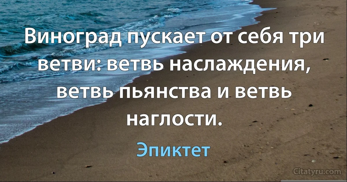 Виноград пускает от себя три ветви: ветвь наслаждения, ветвь пьянства и ветвь наглости. (Эпиктет)