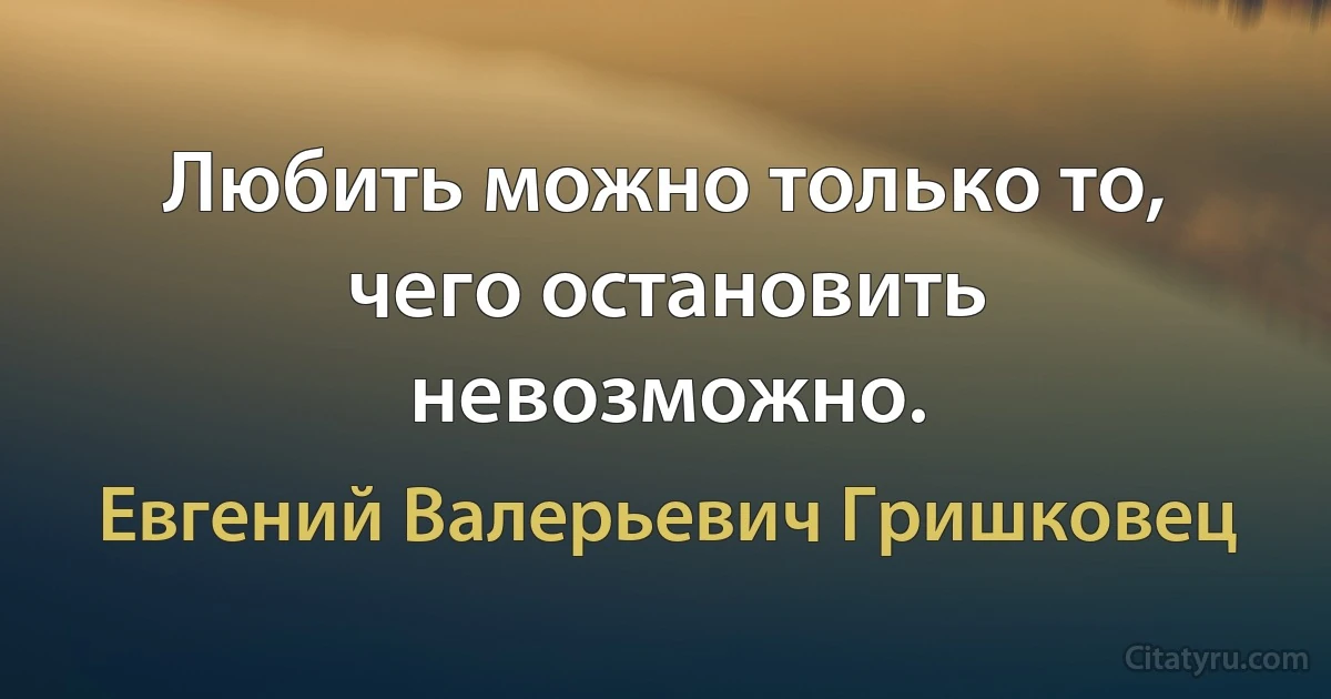 Любить можно только то, чего остановить невозможно. (Евгений Валерьевич Гришковец)