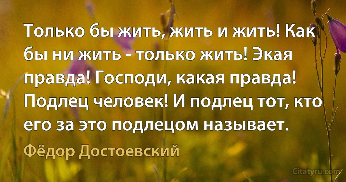 Только бы жить, жить и жить! Как бы ни жить - только жить! Экая правда! Господи, какая правда! Подлец человек! И подлец тот, кто его за это подлецом называет. (Фёдор Достоевский)