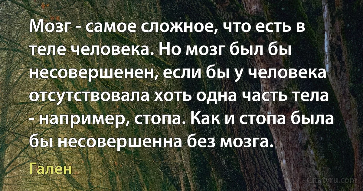 Мозг - самое сложное, что есть в теле человека. Но мозг был бы несовершенен, если бы у человека отсутствовала хоть одна часть тела - например, стопа. Как и стопа была бы несовершенна без мозга. (Гален)