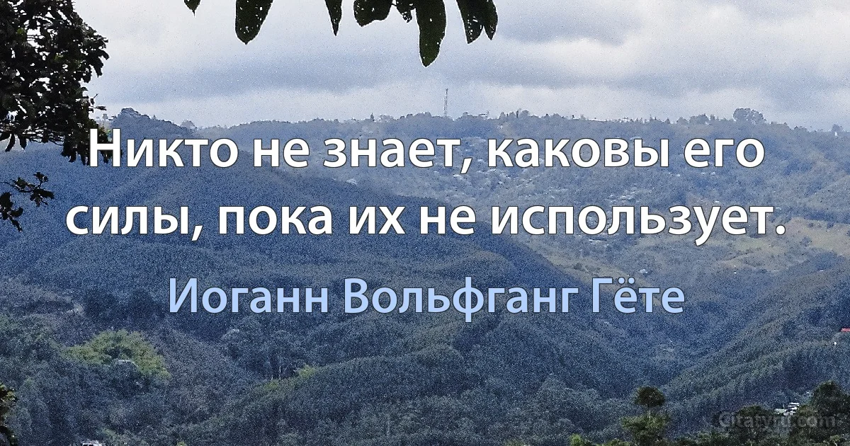 Никто не знает, каковы его силы, пока их не использует. (Иоганн Вольфганг Гёте)