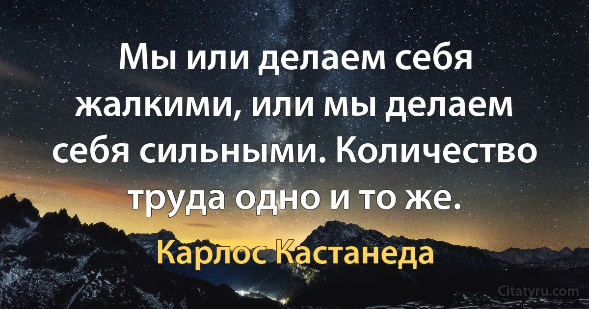 Мы или делаем себя жалкими, или мы делаем себя сильными. Количество труда одно и то же. (Карлос Кастанеда)