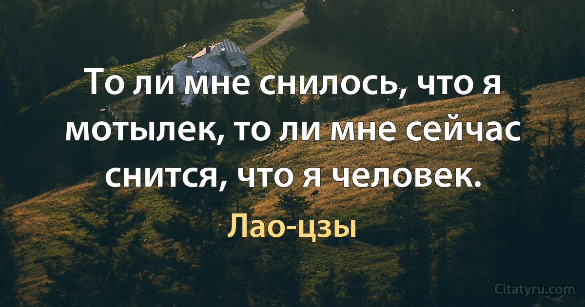 То ли мне снилось, что я мотылек, то ли мне сейчас снится, что я человек. (Лао-цзы)