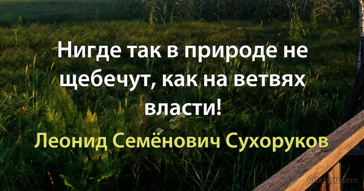 Нигде так в природе не щебечут, как на ветвях власти! (Леонид Семёнович Сухоруков)