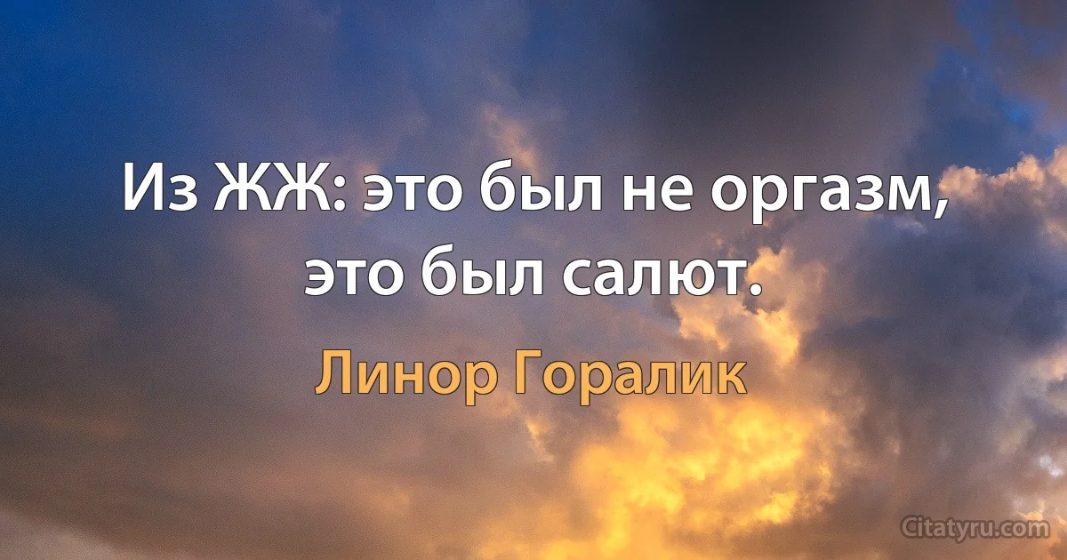 Из ЖЖ: это был не оргазм, это был салют. (Линор Горалик)