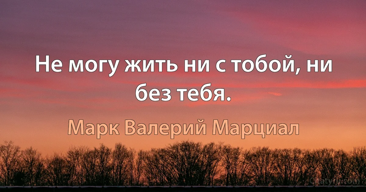 Не могу жить ни с тобой, ни без тебя. (Марк Валерий Марциал)