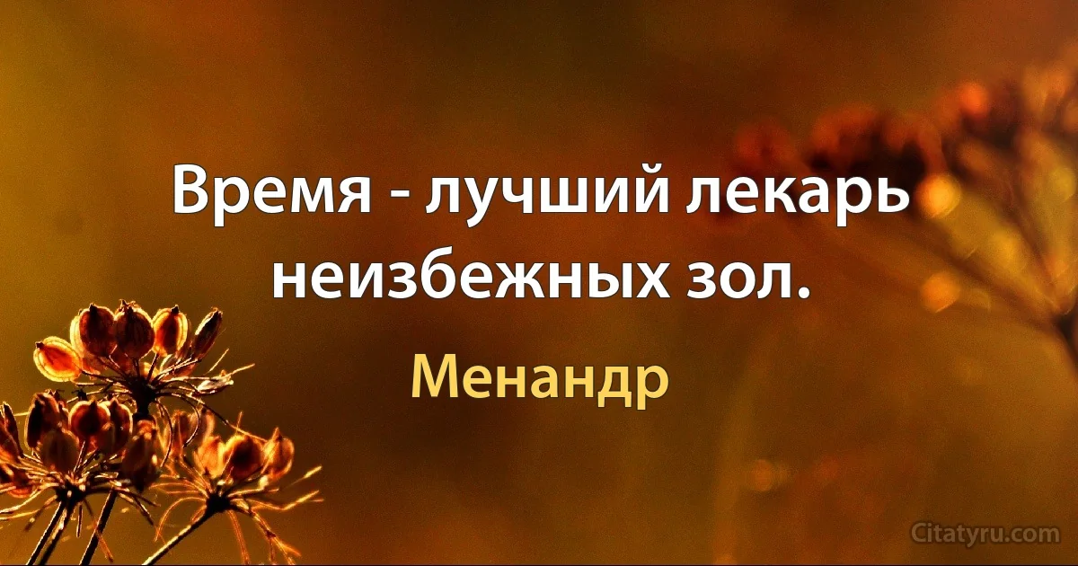 Время - лучший лекарь неизбежных зол. (Менандр)