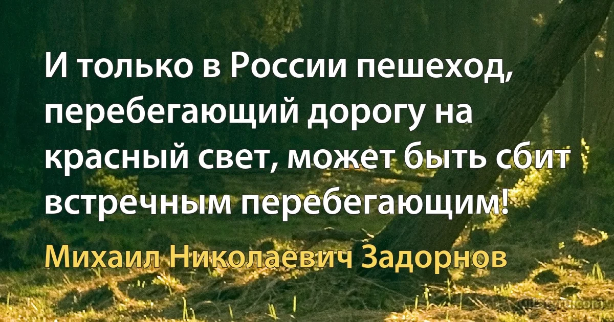 И только в России пешеход, перебегающий дорогу на красный свет, может быть сбит встречным перебегающим! (Михаил Николаевич Задорнов)