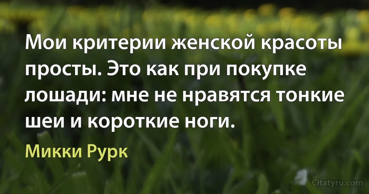 Мои критерии женской красоты просты. Это как при покупке лошади: мне не нравятся тонкие шеи и короткие ноги. (Микки Рурк)