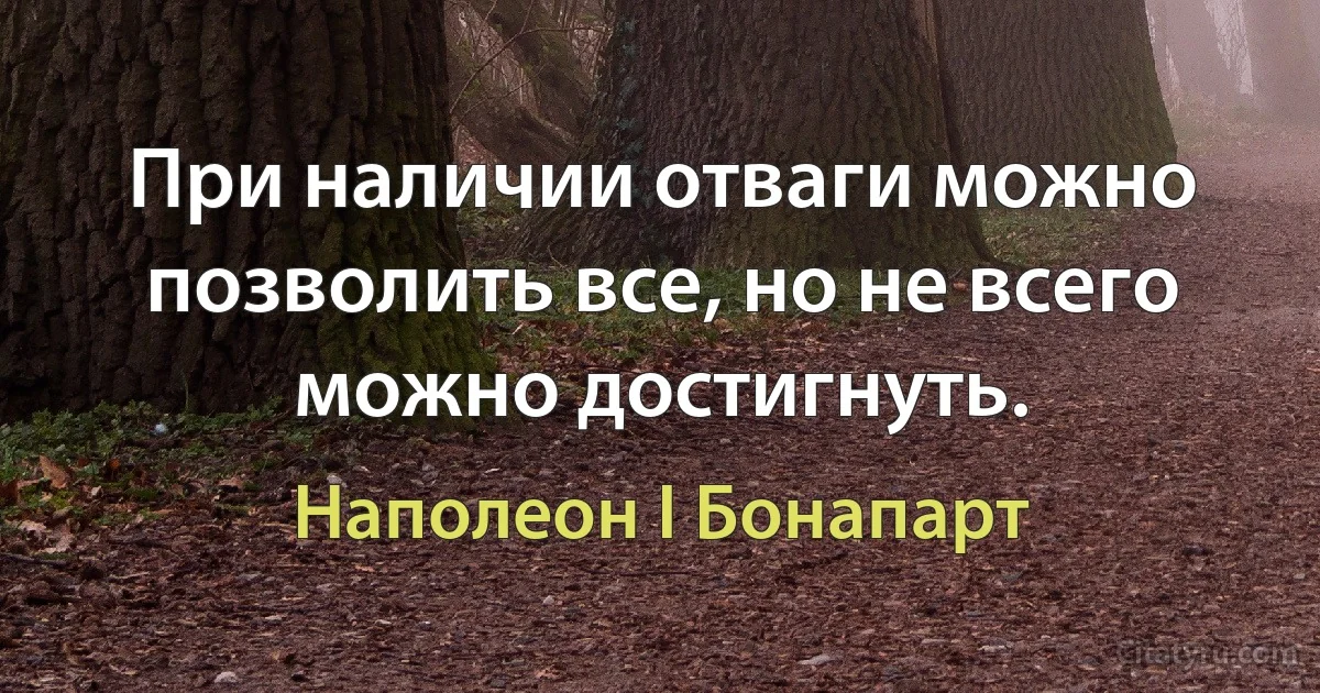 При наличии отваги можно позволить все, но не всего можно достигнуть. (Наполеон I Бонапарт)