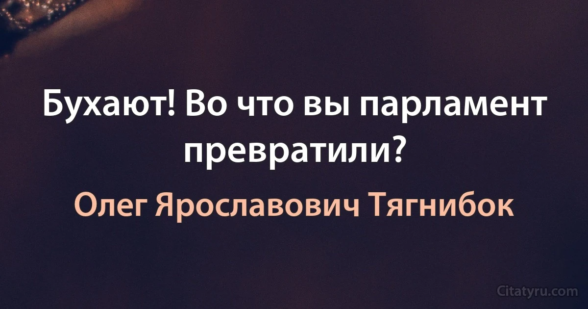 Бухают! Во что вы парламент превратили? (Олег Ярославович Тягнибок)