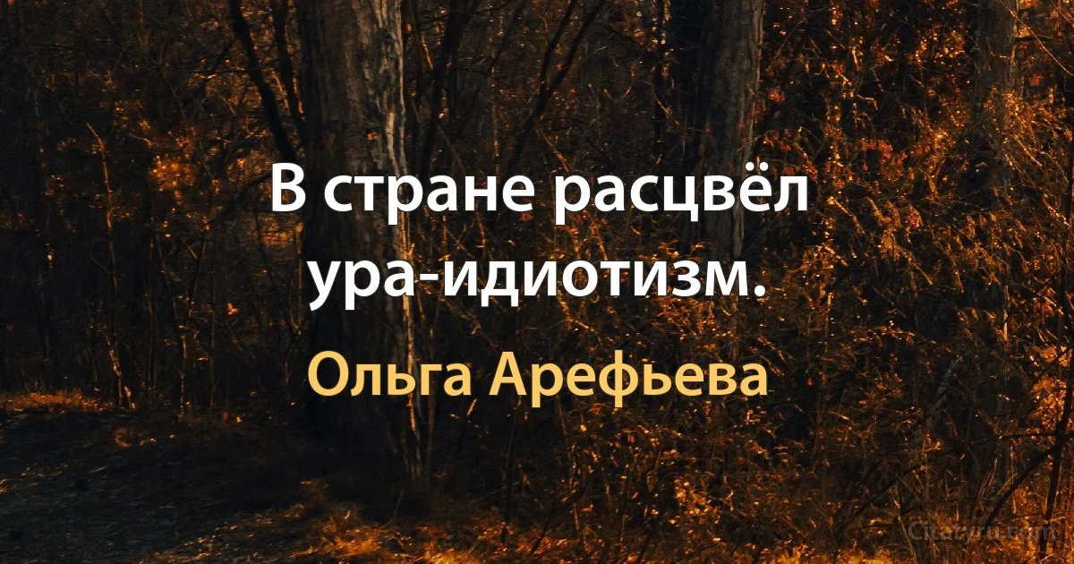 В стране расцвёл ура-идиотизм. (Ольга Арефьева)