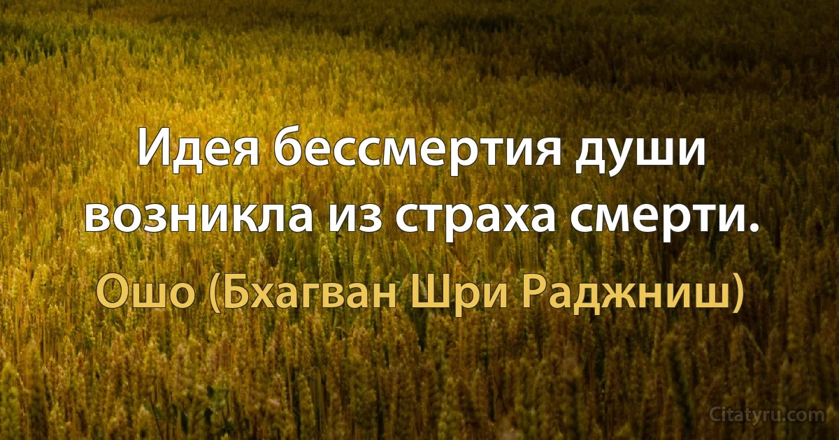 Идея бессмертия души возникла из страха смерти. (Ошо (Бхагван Шри Раджниш))