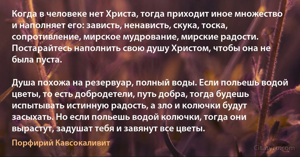 Когда в человеке нет Христа, тогда приходит иное множество и наполняет его: зависть, ненависть, скука, тоска, сопротивление, мирское мудрование, мирские радости. Постарайтесь наполнить свою душу Христом, чтобы она не была пуста. 

Душа похожа на резервуар, полный воды. Если польешь водой цветы, то есть добродетели, путь добра, тогда будешь испытывать истинную радость, а зло и колючки будут засыхать. Но если польешь водой колючки, тогда они вырастут, задушат тебя и завянут все цветы. (Порфирий Кавсокаливит)