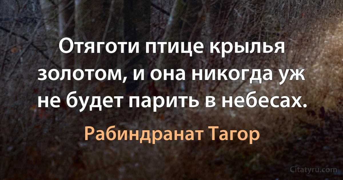 Отяготи птице крылья золотом, и она никогда уж не будет парить в небесах. (Рабиндранат Тагор)