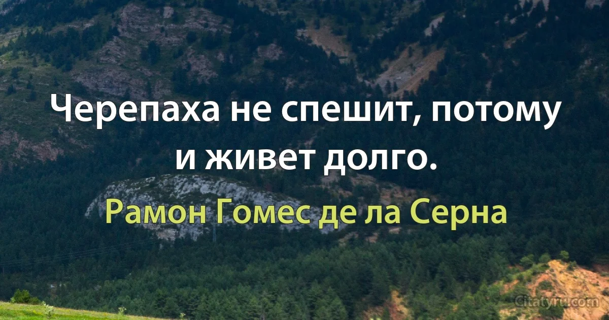 Черепаха не спешит, потому и живет долго. (Рамон Гомес де ла Серна)