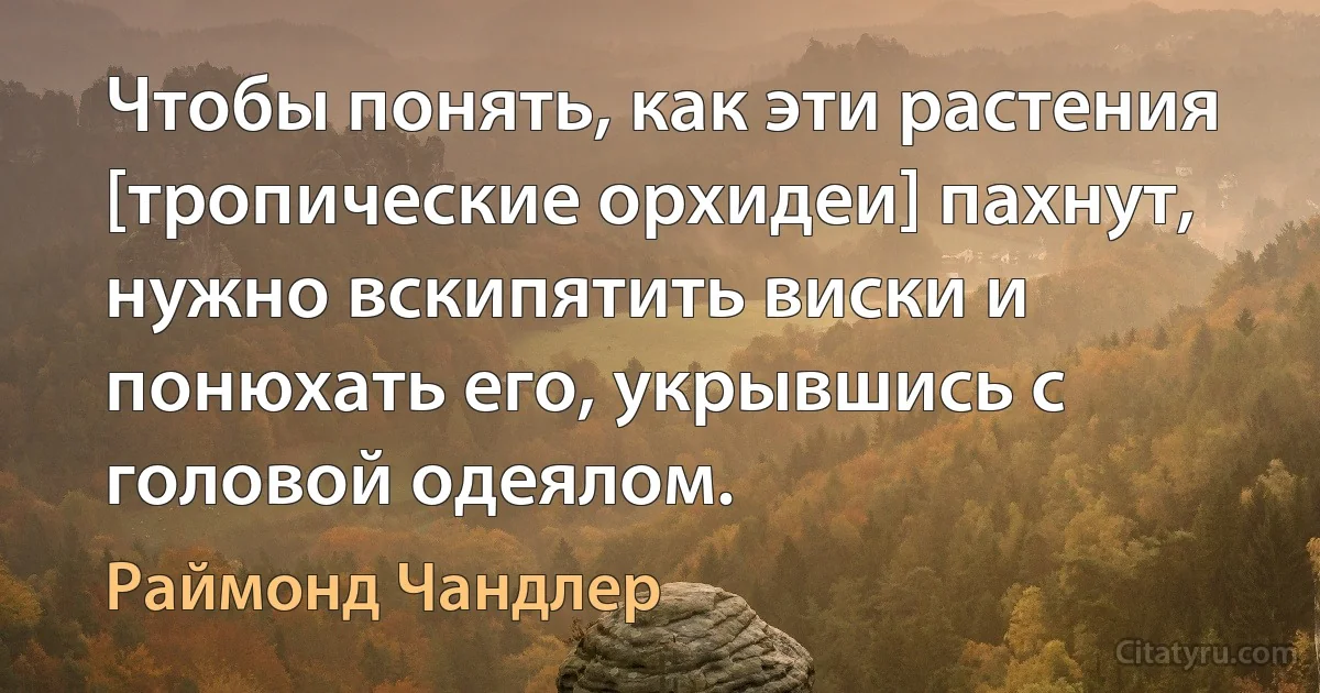 Чтобы понять, как эти растения [тропические орхидеи] пахнут, нужно вскипятить виски и понюхать его, укрывшись с головой одеялом. (Раймонд Чандлер)