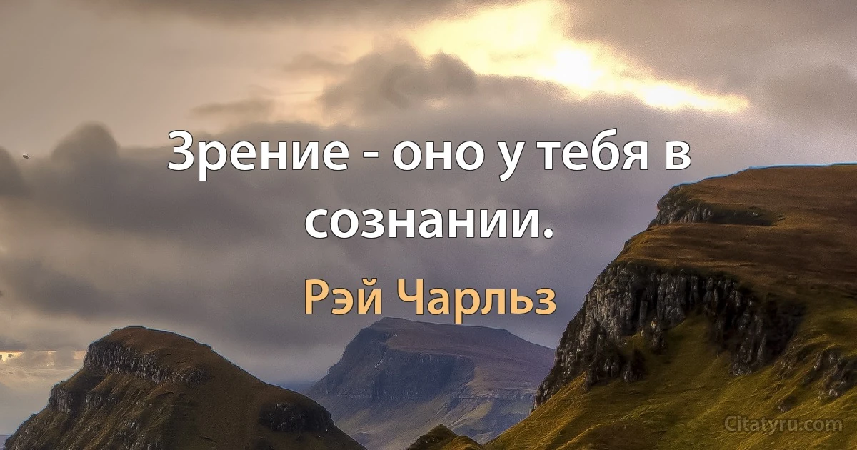 Зрение - оно у тебя в сознании. (Рэй Чарльз)