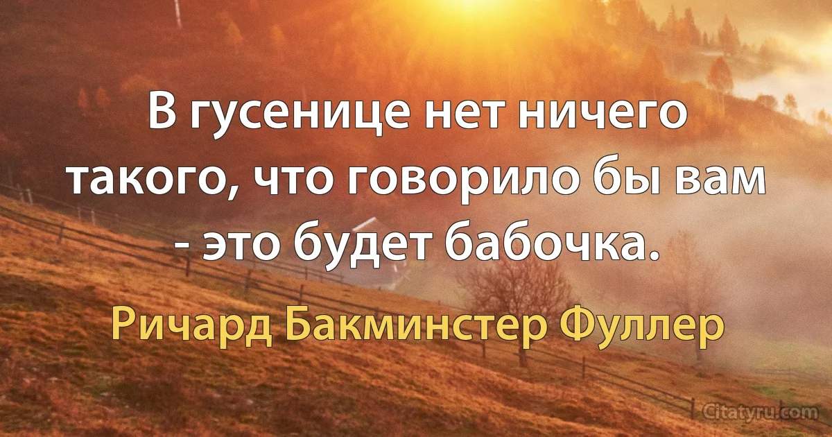 В гусенице нет ничего такого, что говорило бы вам - это будет бабочка. (Ричард Бакминстер Фуллер)