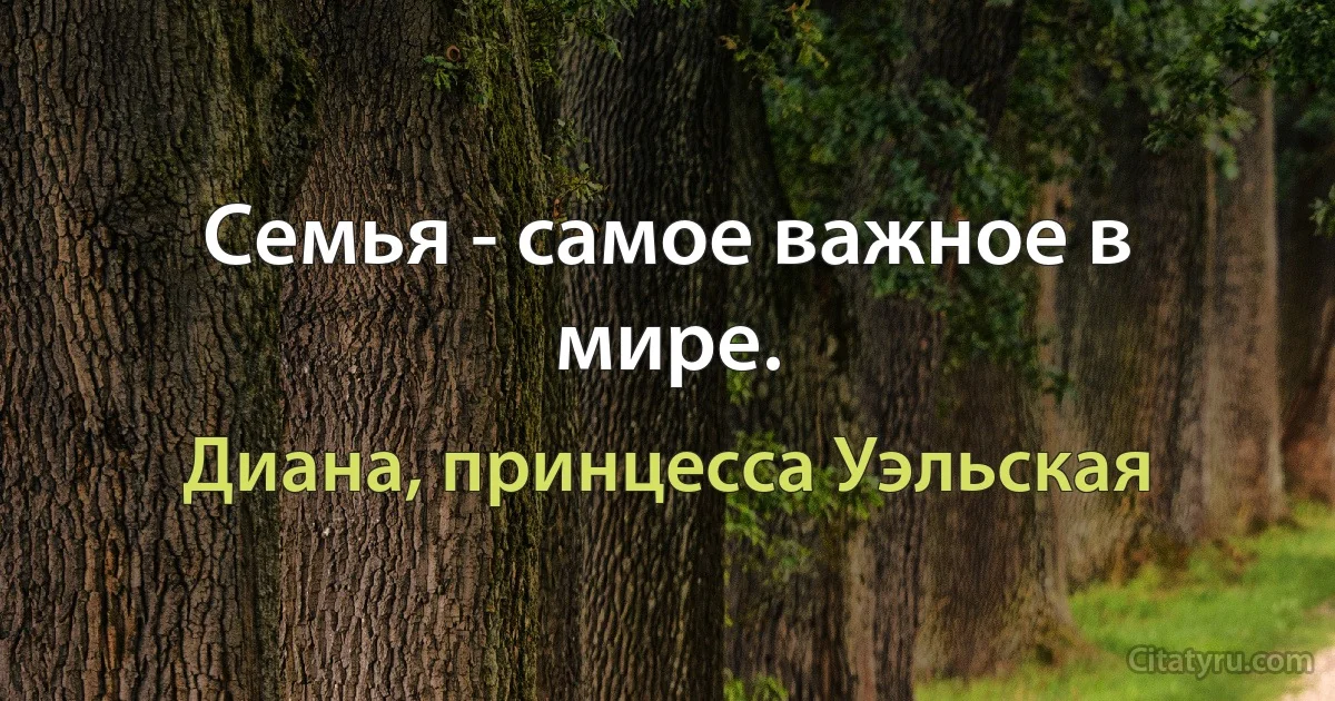 Семья - самое важное в мире. (Диана, принцесса Уэльская)