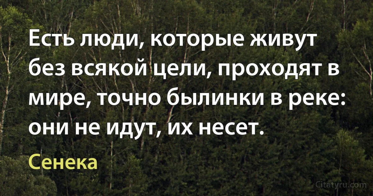 Есть люди, которые живут без всякой цели, проходят в мире, точно былинки в реке: они не идут, их несет. (Сенека)