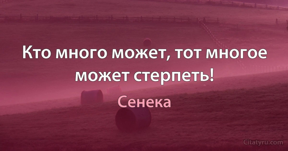 Кто много может, тот многое может стерпеть! (Сенека)