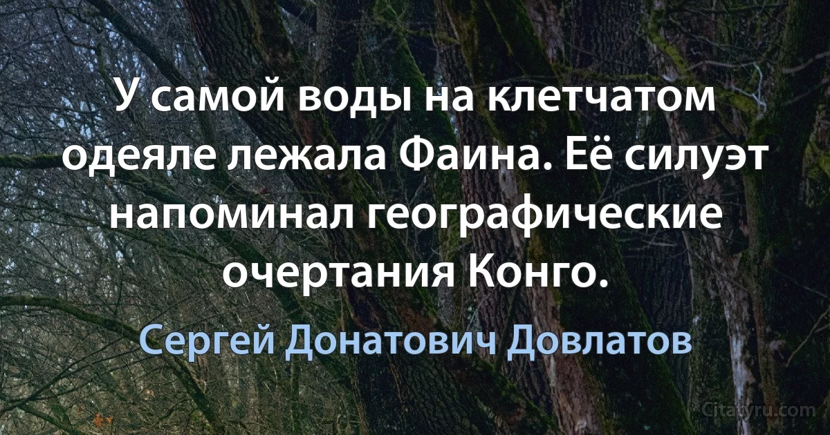 У самой воды на клетчатом одеяле лежала Фаина. Её силуэт напоминал географические очертания Конго. (Сергей Донатович Довлатов)