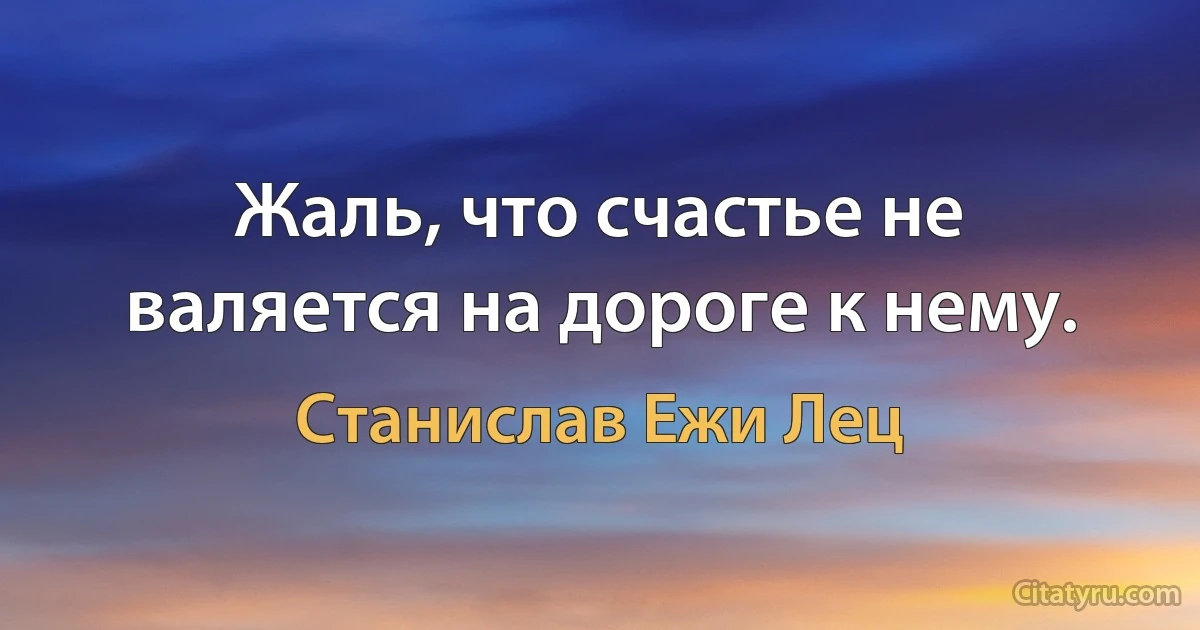 Жаль, что счастье не валяется на дороге к нему. (Станислав Ежи Лец)