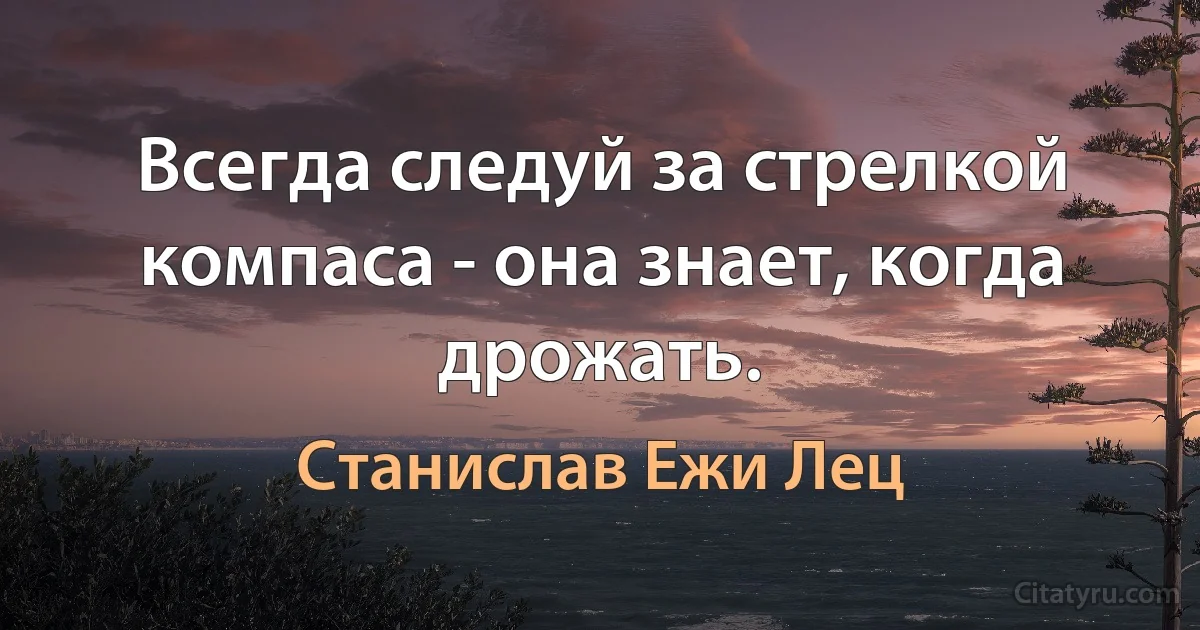 Всегда следуй за стрелкой компаса - она знает, когда дрожать. (Станислав Ежи Лец)