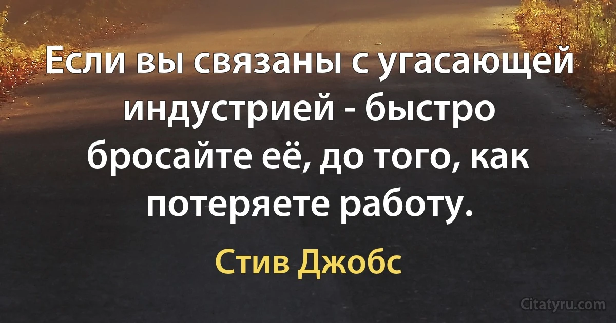 Если вы связаны с угасающей индустрией - быстро бросайте её, до того, как потеряете работу. (Стив Джобс)